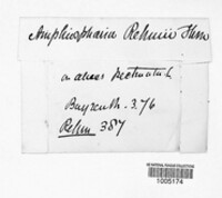 Anthostomella formosa image